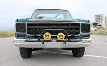 Chevrolet-Other-Pickups-1978-Pickup-Truck-31