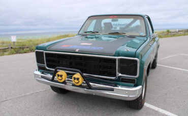 Chevrolet-Other-Pickups-1978-Pickup-Truck-32