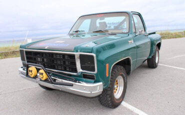 Chevrolet-Other-Pickups-1978-Pickup-Truck-33