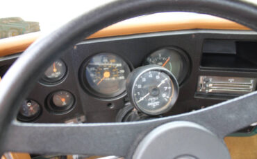 Chevrolet-Other-Pickups-1978-Pickup-Truck-37