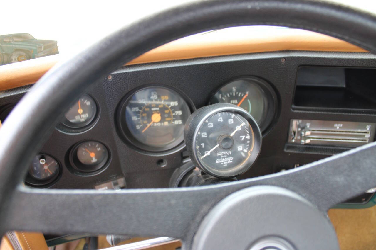 Chevrolet-Other-Pickups-1978-Pickup-Truck-37