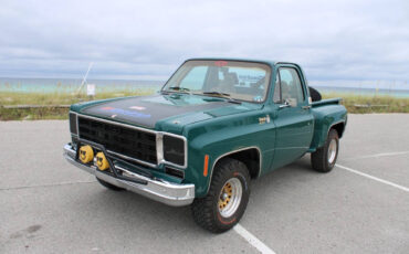 Chevrolet-Other-Pickups-1978-Pickup-Truck