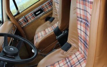 Chevrolet-Other-Pickups-1978-Pickup-Truck-38