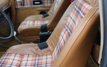 Chevrolet-Other-Pickups-1978-Pickup-Truck-39