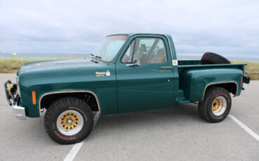Chevrolet-Other-Pickups-1978-Pickup-Truck-4
