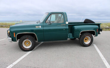 Chevrolet-Other-Pickups-1978-Pickup-Truck-5