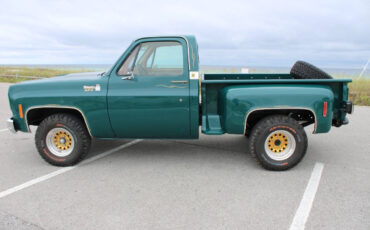 Chevrolet-Other-Pickups-1978-Pickup-Truck-6