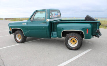 Chevrolet-Other-Pickups-1978-Pickup-Truck-7
