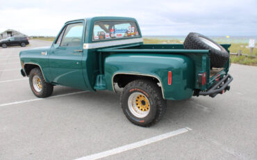 Chevrolet-Other-Pickups-1978-Pickup-Truck-8