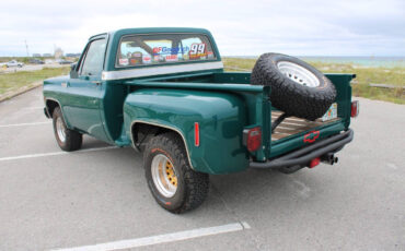 Chevrolet-Other-Pickups-1978-Pickup-Truck-9