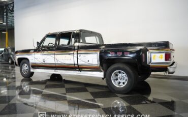 Chevrolet-Other-Pickups-1979-Pickup-Truck-11