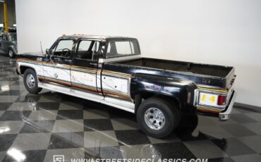 Chevrolet-Other-Pickups-1979-Pickup-Truck-12