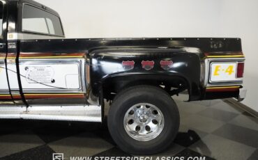 Chevrolet-Other-Pickups-1979-Pickup-Truck-14