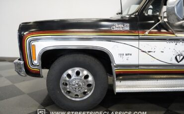Chevrolet-Other-Pickups-1979-Pickup-Truck-16