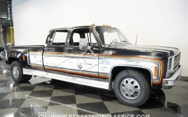 Chevrolet-Other-Pickups-1979-Pickup-Truck-33