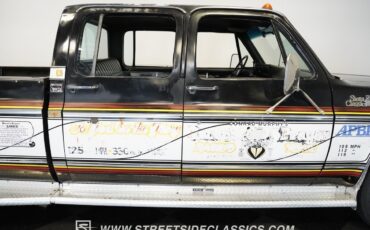 Chevrolet-Other-Pickups-1979-Pickup-Truck-37