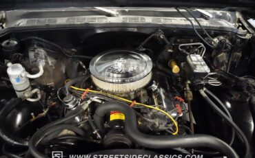 Chevrolet-Other-Pickups-1979-Pickup-Truck-4