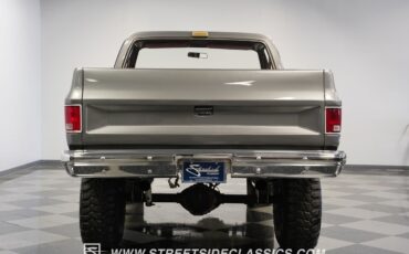 Chevrolet-Other-Pickups-1981-Pickup-Truck-10