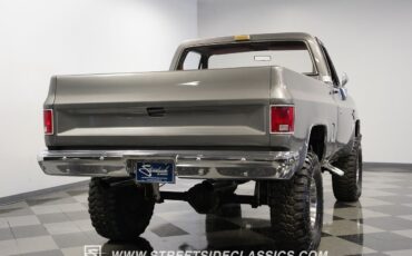 Chevrolet-Other-Pickups-1981-Pickup-Truck-11