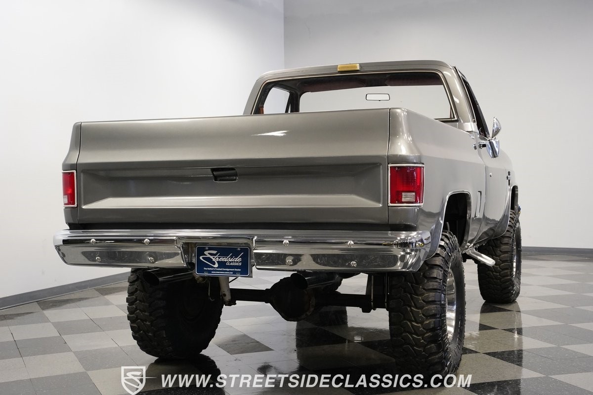 Chevrolet-Other-Pickups-1981-Pickup-Truck-11