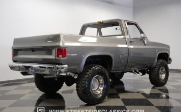 Chevrolet-Other-Pickups-1981-Pickup-Truck-12