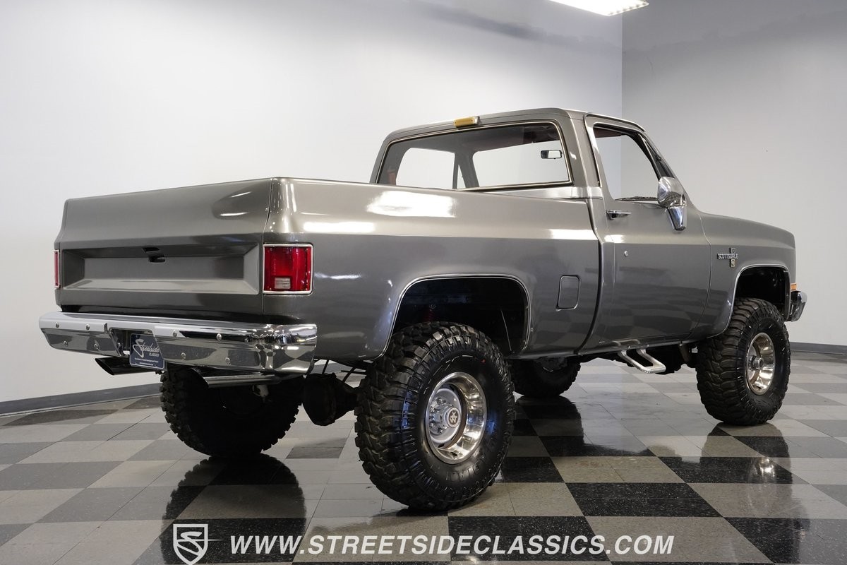Chevrolet-Other-Pickups-1981-Pickup-Truck-12