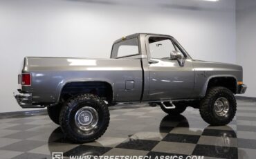 Chevrolet-Other-Pickups-1981-Pickup-Truck-13