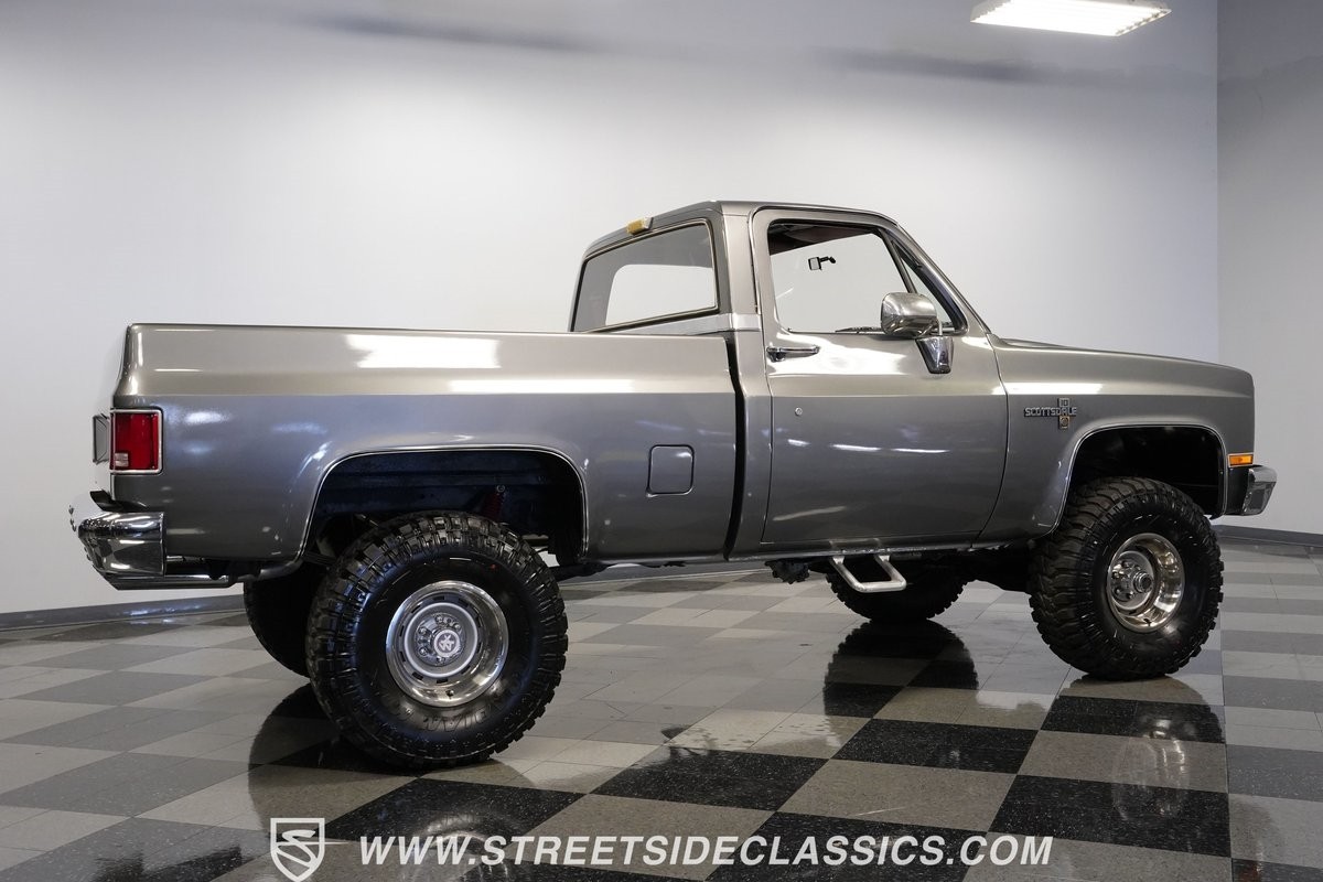 Chevrolet-Other-Pickups-1981-Pickup-Truck-13