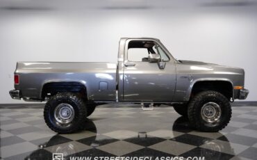 Chevrolet-Other-Pickups-1981-Pickup-Truck-14