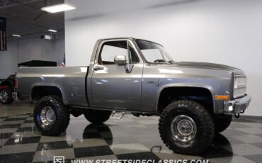 Chevrolet-Other-Pickups-1981-Pickup-Truck-15