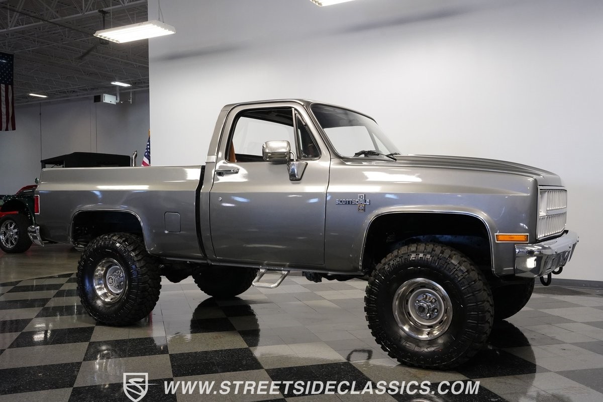 Chevrolet-Other-Pickups-1981-Pickup-Truck-15
