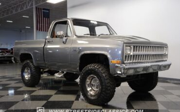 Chevrolet-Other-Pickups-1981-Pickup-Truck-16