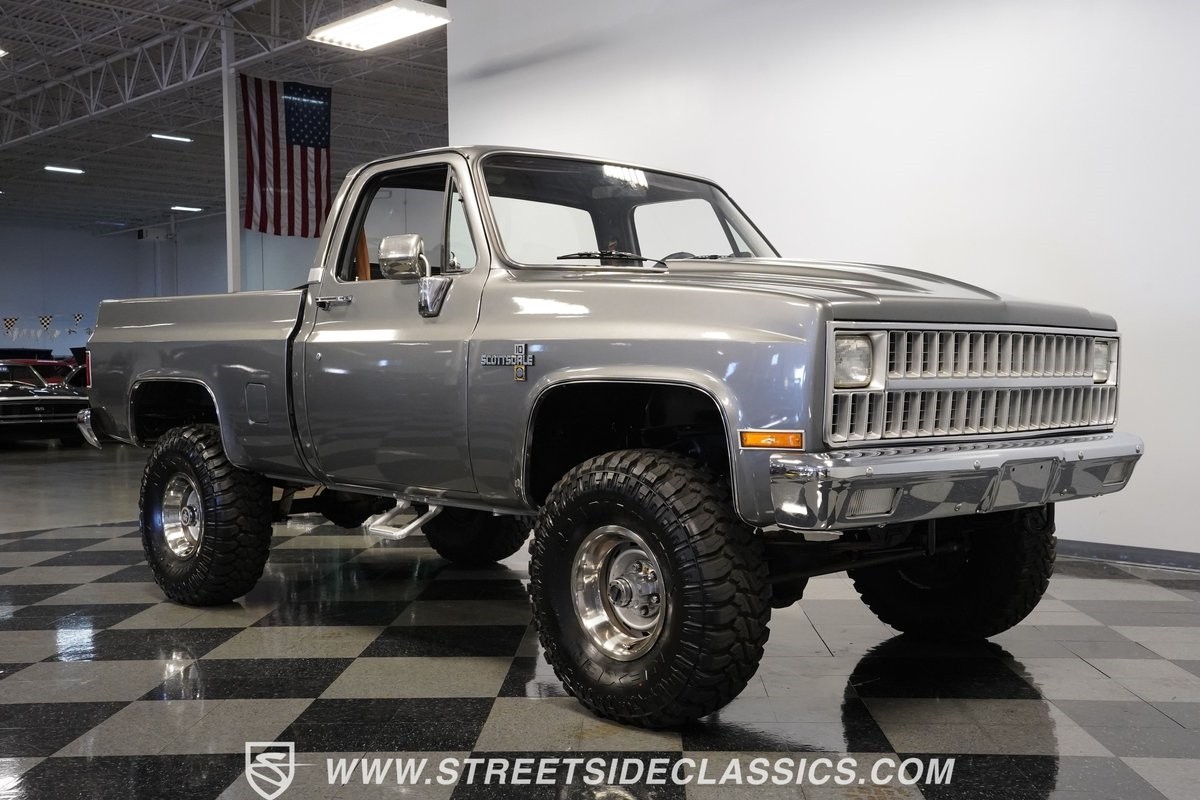 Chevrolet-Other-Pickups-1981-Pickup-Truck-16