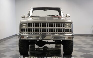 Chevrolet-Other-Pickups-1981-Pickup-Truck-17