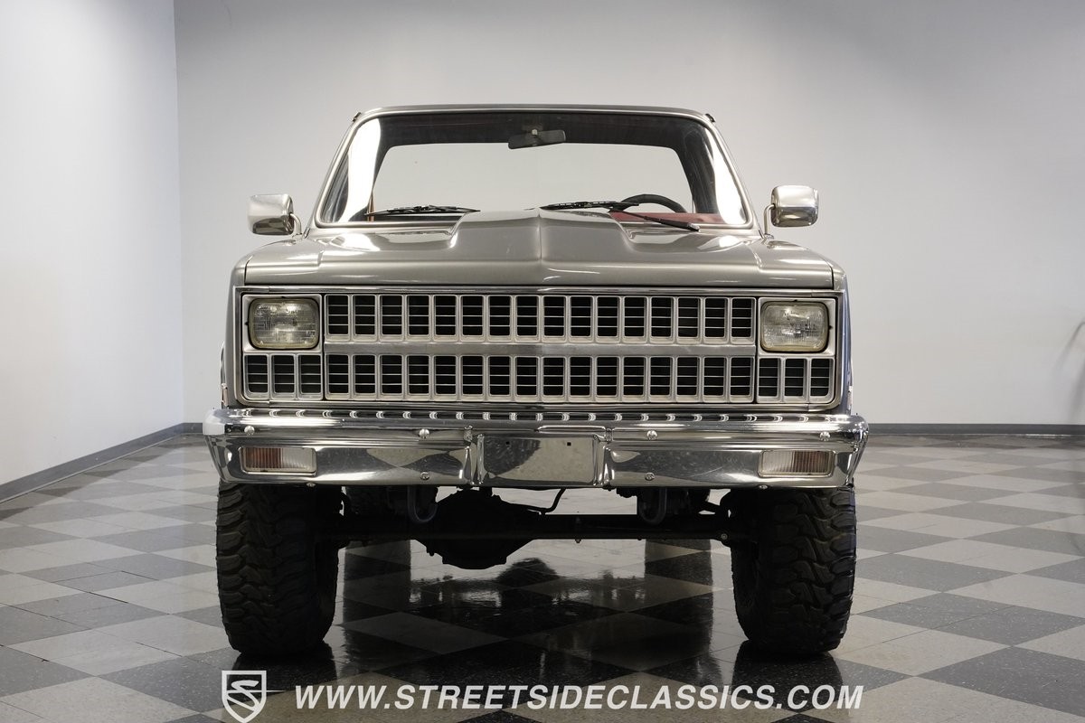 Chevrolet-Other-Pickups-1981-Pickup-Truck-17