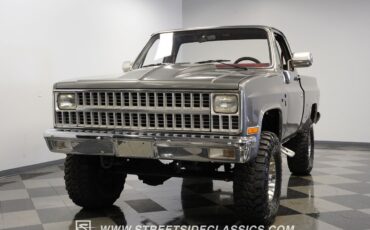 Chevrolet-Other-Pickups-1981-Pickup-Truck-18