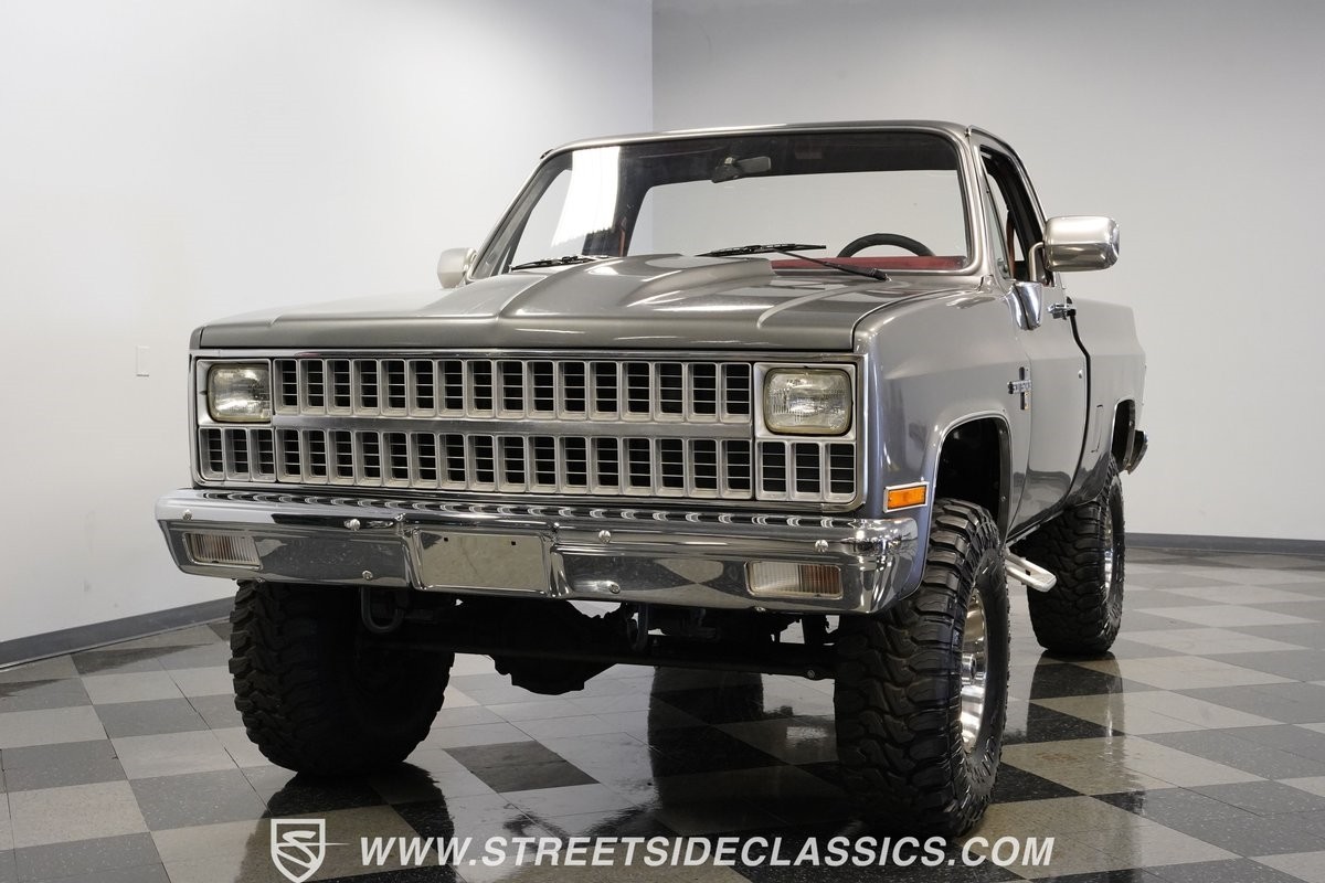Chevrolet-Other-Pickups-1981-Pickup-Truck-18