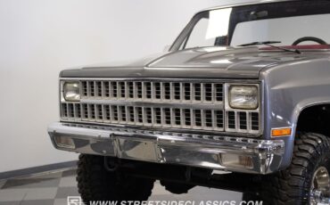 Chevrolet-Other-Pickups-1981-Pickup-Truck-19