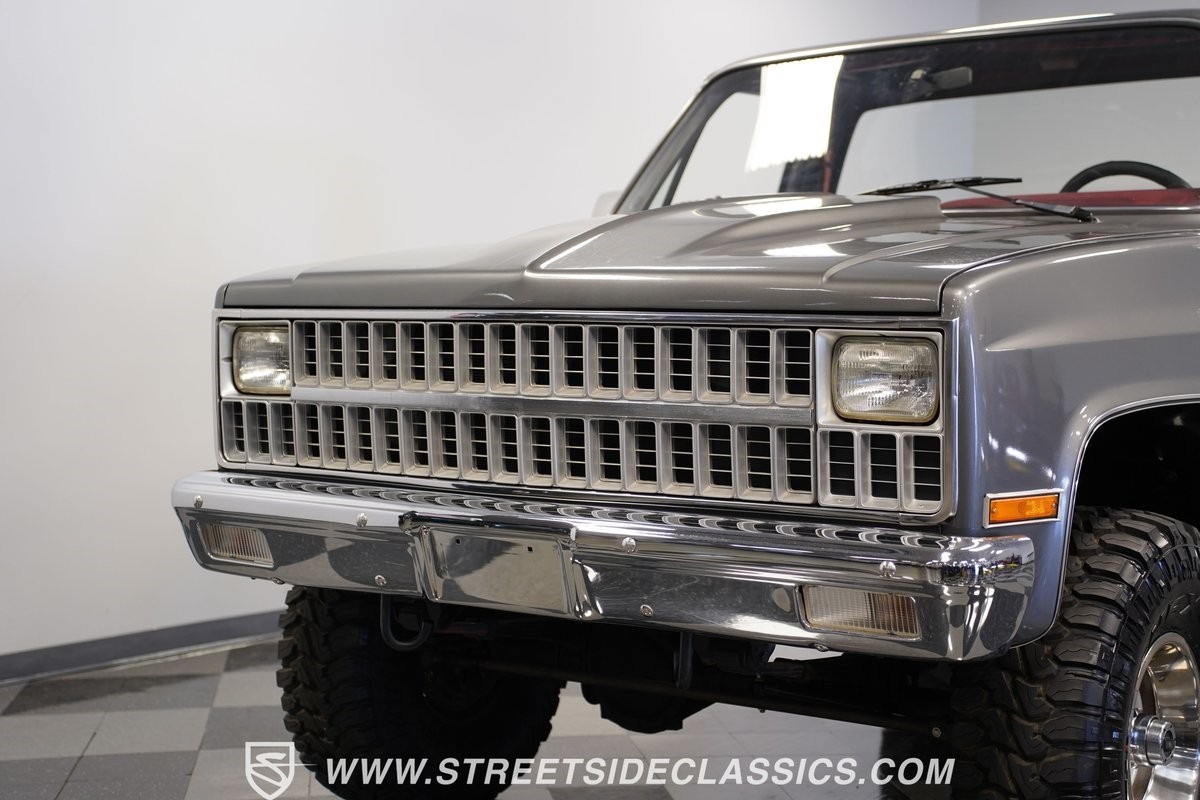 Chevrolet-Other-Pickups-1981-Pickup-Truck-19