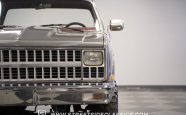 Chevrolet-Other-Pickups-1981-Pickup-Truck-20