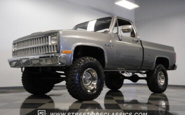 Chevrolet-Other-Pickups-1981-Pickup-Truck-21