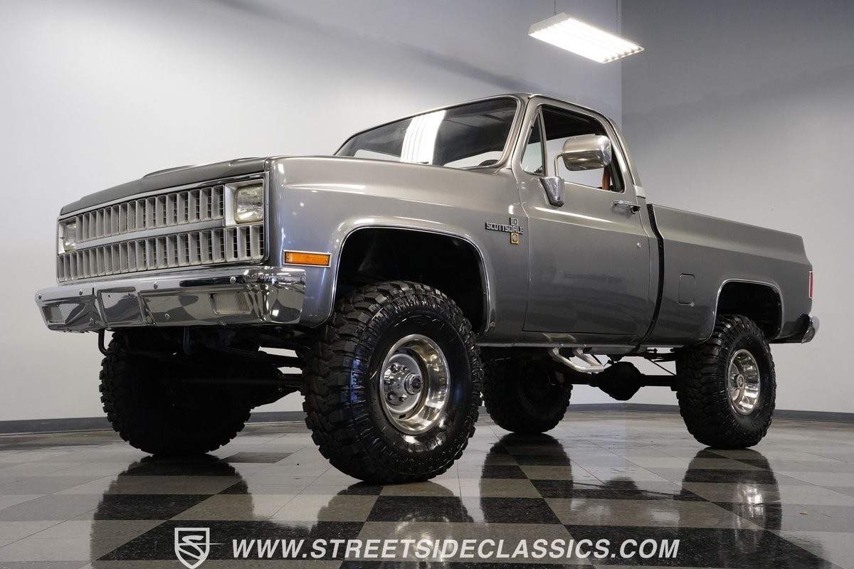 Chevrolet-Other-Pickups-1981-Pickup-Truck-21