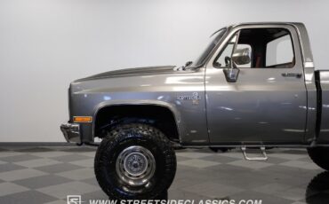 Chevrolet-Other-Pickups-1981-Pickup-Truck-23