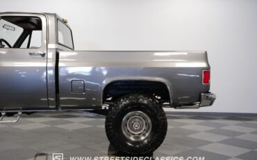 Chevrolet-Other-Pickups-1981-Pickup-Truck-24