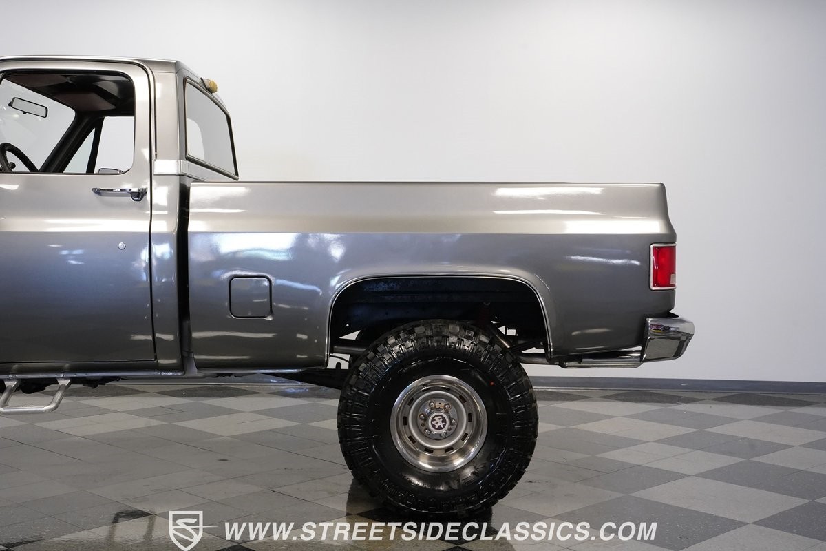 Chevrolet-Other-Pickups-1981-Pickup-Truck-24