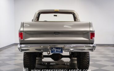 Chevrolet-Other-Pickups-1981-Pickup-Truck-25