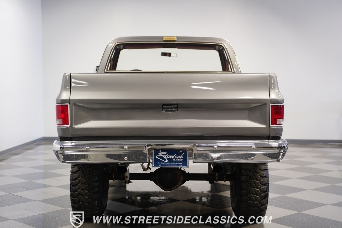 Chevrolet-Other-Pickups-1981-Pickup-Truck-25