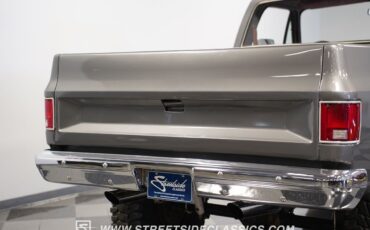 Chevrolet-Other-Pickups-1981-Pickup-Truck-26
