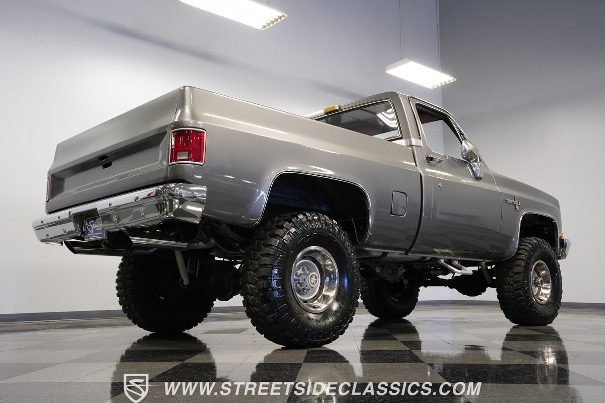 Chevrolet-Other-Pickups-1981-Pickup-Truck-27