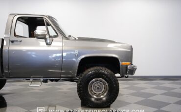Chevrolet-Other-Pickups-1981-Pickup-Truck-30